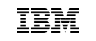 logo_0007_ibm-logo